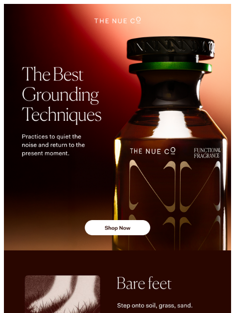 thenueco newsletter: The fastest way to feel grounded