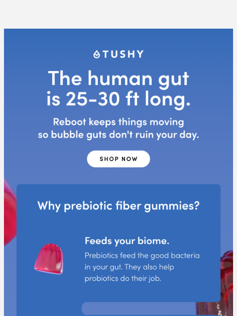 hellotushy newsletter: Longer than a shuttle bus full of 💩