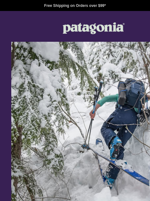 patagonia newsletter: Up to 50% off continues