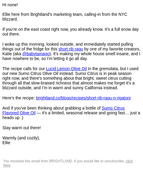 brightland newsletter: Hello from the blizzard!