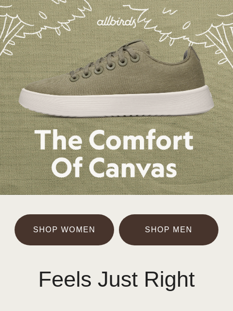 allbirds newsletter: Crisp, Comfortable, Canvas Sneakers