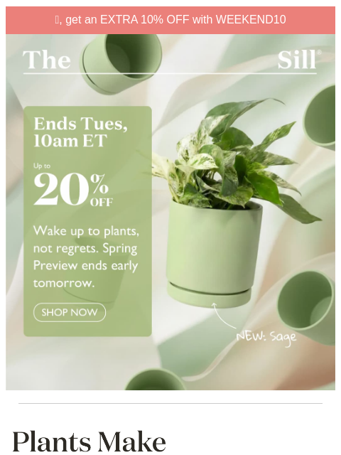 thesill newsletter: Check out by 10am ET tomorrow 2/24 (!!)