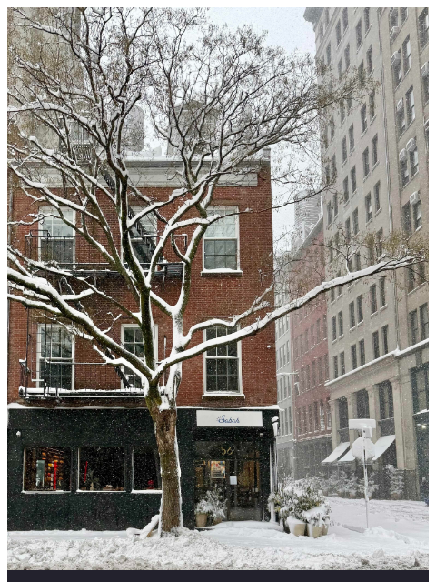 sabah newsletter: Sabah Snow Day Report ❄️