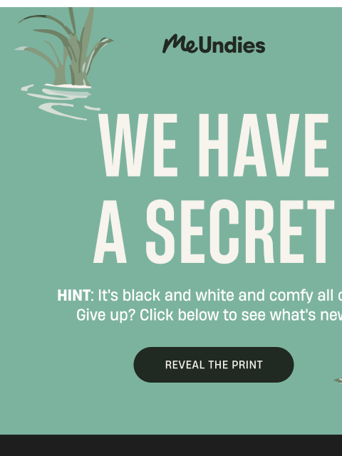 meundies newsletter: Can You Guess Our New Print?