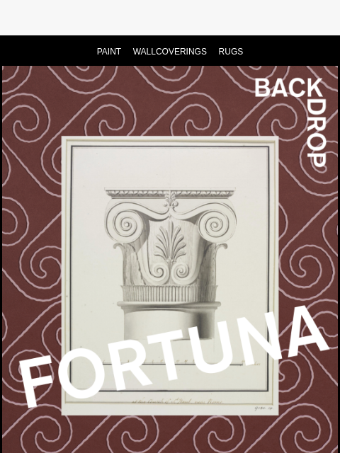 backdrophome newsletter: REFRAMING THE VOLUTE 🌀