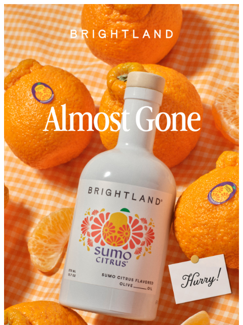 brightland newsletter: Last Call for Sumo Citrus Olive Oil