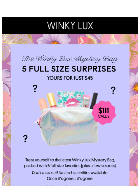 winkylux newsletter: ONLY $45 - The Winky Mystery Bag Is BACK