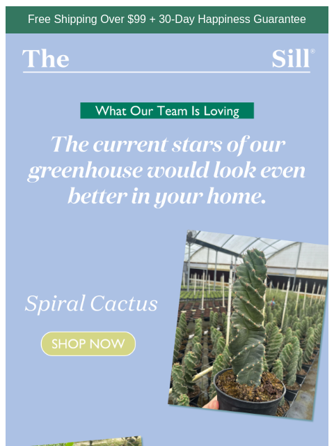 thesill newsletter: Take a peak inside the greenhouse  👀