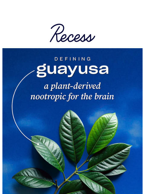 takearecess newsletter: what is guayusa? 🌱