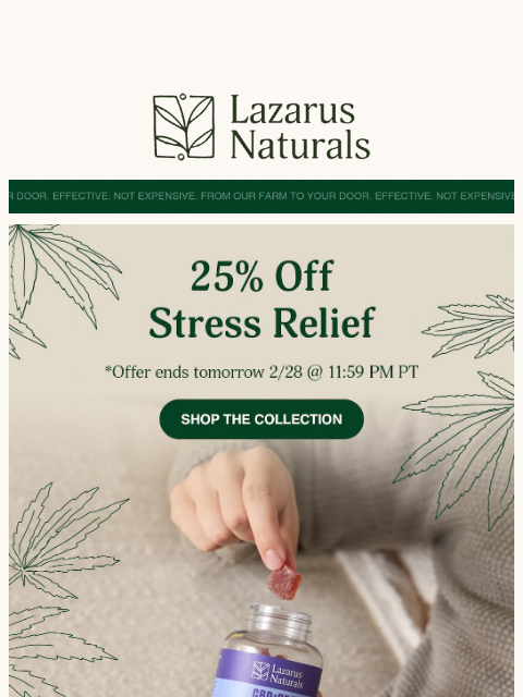lazarusnaturals newsletter: 😌 Less stress starts with 25% off