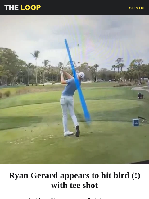 golfdigest newsletter: Pro hits bird, Scottie's latest feat and the quest...