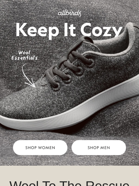 allbirds newsletter: Wool Shoes Made For Wild Winters 🌨️