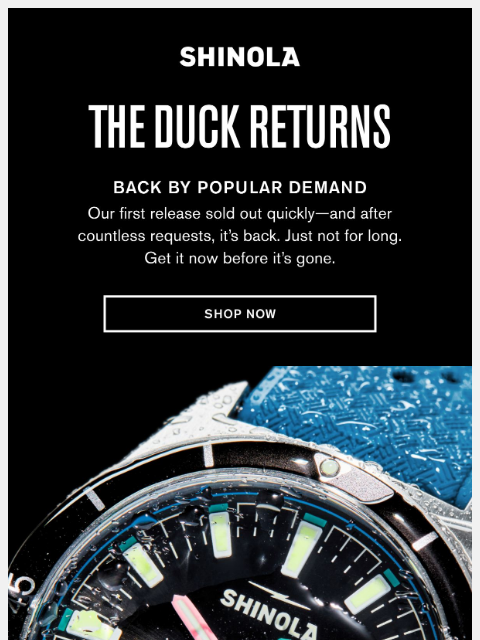 shinola newsletter: The Duck Returns