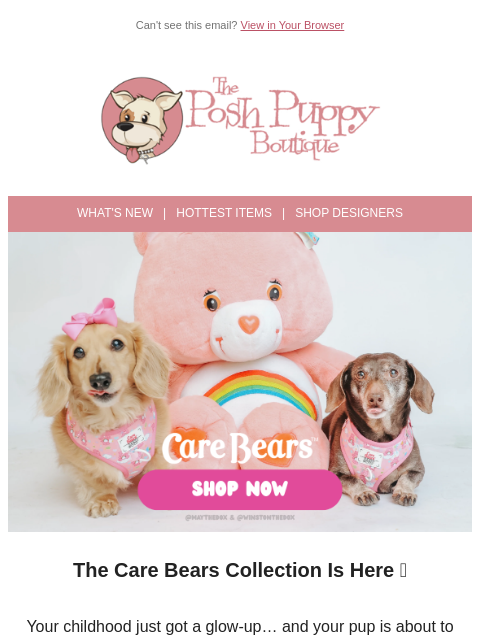 poshpuppyboutique newsletter: Care Bears Have Landed 🌈🐻