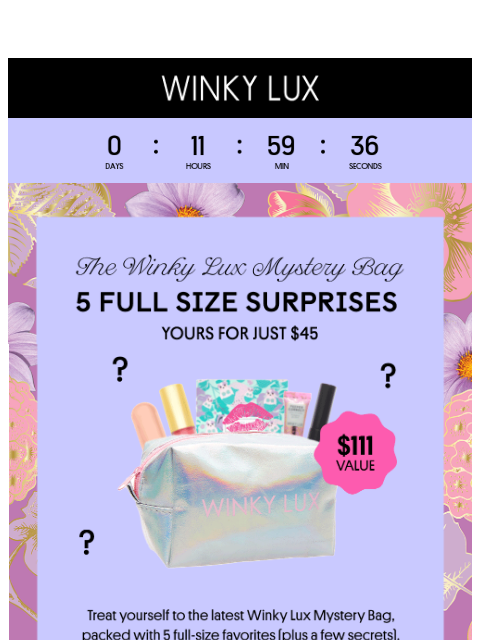 winkylux newsletter: LAST CHANCE For $45 Mystery Bags