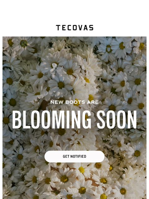 tecovas newsletter: LIMITED EDITION Charlie and Jolene are blooming so...
