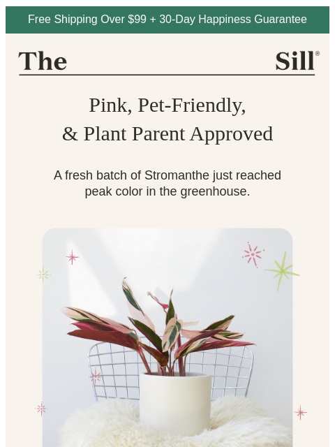 thesill newsletter: Leaves you have to see to believe