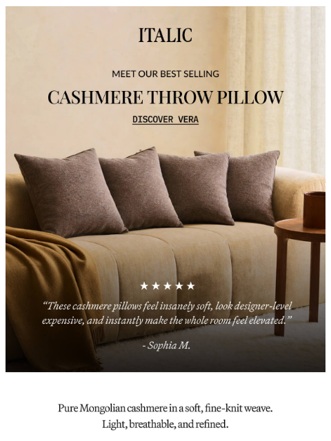 italic newsletter: Meet your Sofa’s New Best Friend