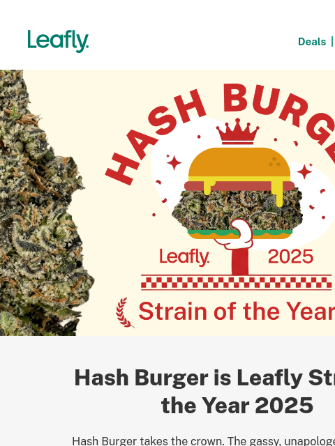 leafly newsletter: Leafly Strain of the Year 2025 is... Hash Burger �...