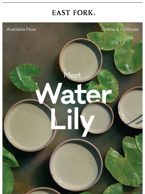 eastfork newsletter: Water Lily has arrived