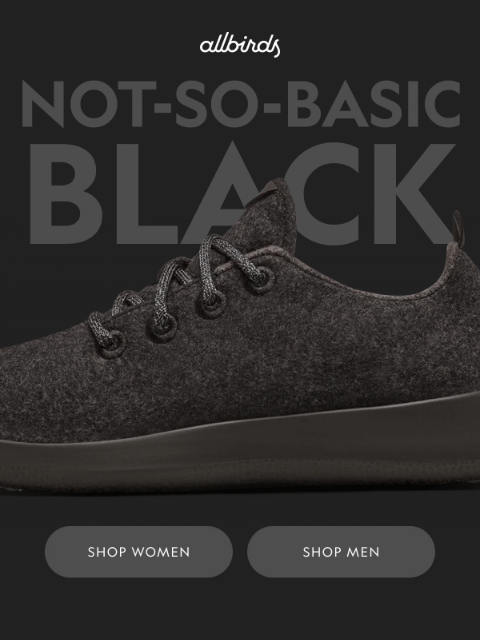 allbirds newsletter: Bestsellers In The Best Color 🖤