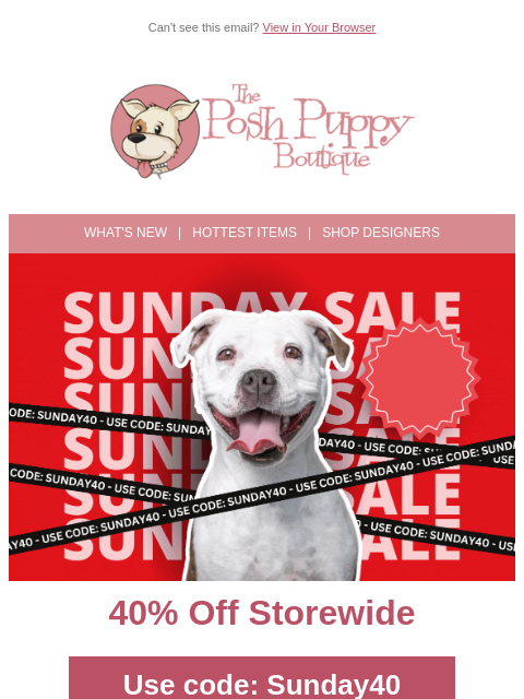 poshpuppyboutique newsletter: Special Sunday Deal: 40% Off Just for You!
