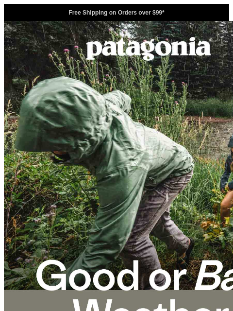 patagonia newsletter: Stay out, stay dry