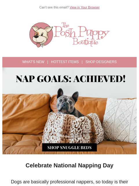 poshpuppyboutique newsletter: National Napping Day 🐶 The Perfect Excuse for a N...