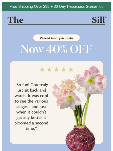 thesill newsletter: Customer favorite, 40% OFF (!!)