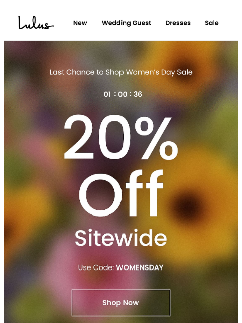 lulus newsletter: SALE IS ALMOST OVER