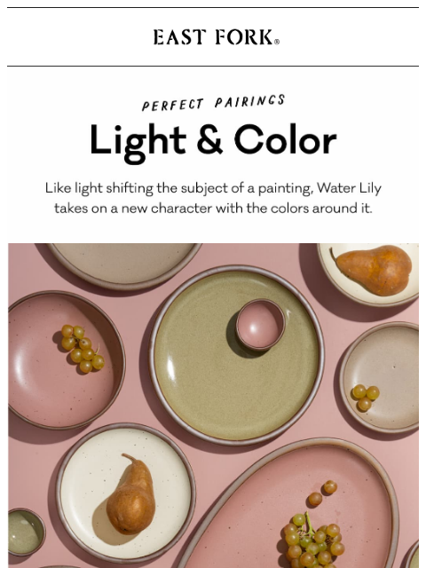 eastfork newsletter: Water Lily in a new light