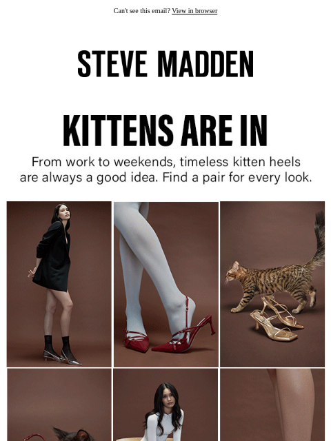 Kitten heels for every occasion. ﻿͏ ﻿͏ ﻿͏ ﻿͏ ﻿͏ ﻿͏ ﻿͏ ﻿͏ ﻿͏ ﻿͏ ﻿͏ ﻿͏ ﻿͏ ﻿͏ ﻿͏ ﻿͏ ﻿͏ ﻿͏ ﻿͏ ﻿͏ ﻿͏ ﻿͏ ﻿͏ ﻿͏ ﻿͏ ﻿͏ ﻿͏ ﻿͏ ﻿͏ ﻿͏ ﻿͏ ﻿͏ ﻿͏ ﻿͏ ﻿͏ ﻿͏ ﻿͏ ﻿͏ ﻿͏ ﻿͏ ﻿͏ ﻿͏ ﻿͏ ﻿͏ ﻿͏ ﻿͏ ﻿͏ ﻿͏ ﻿͏ ﻿͏ ﻿͏ ﻿͏ ﻿͏ ﻿͏ ﻿͏ ﻿͏