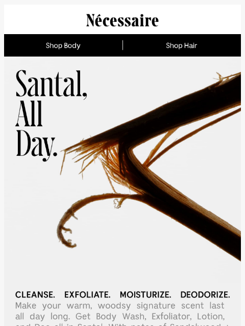 necessaire newsletter: The Full Sandalwood Experience