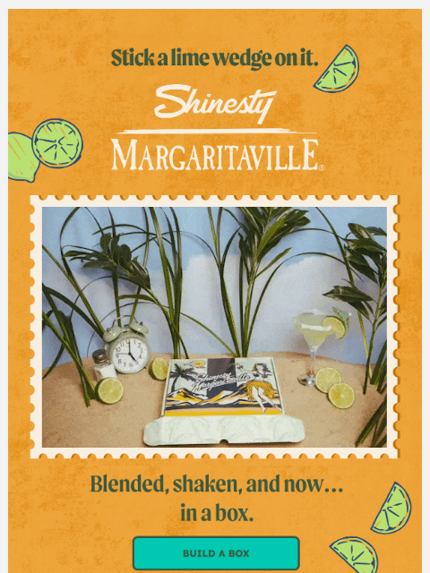shinesty newsletter: We’ve had 5 margaritas today