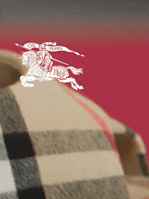 burberry newsletter: New-season shoes