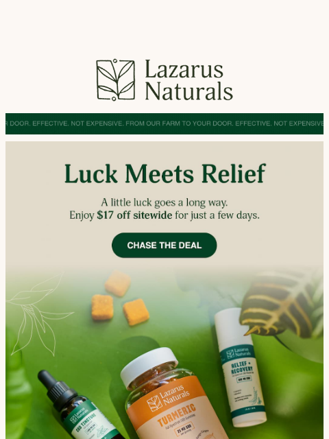 lazarusnaturals newsletter: 🍀Just your luck! 17% Off Sitewide.