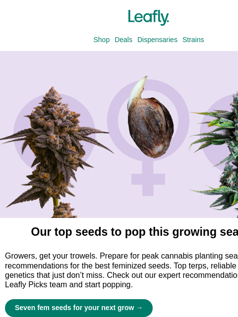 leafly newsletter: The top seeds to pop this growing season 🌱