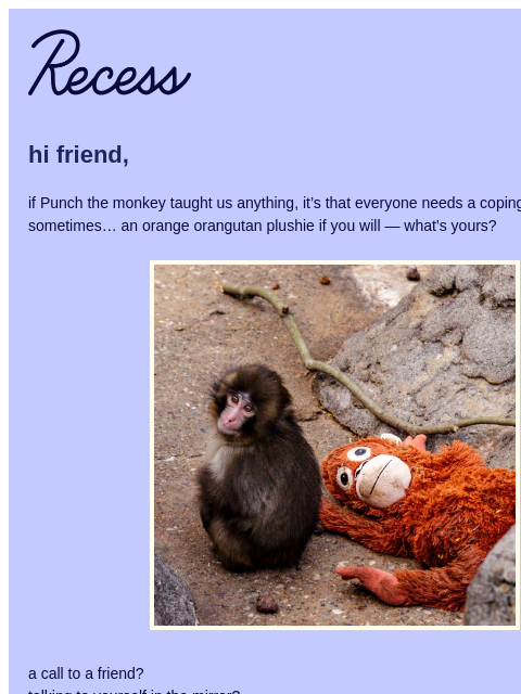 takearecess newsletter: we 🧡 Punch the monkey