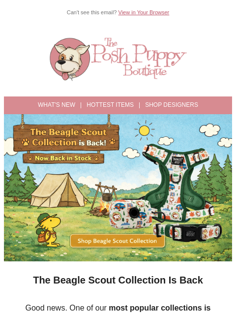 poshpuppyboutique newsletter: It’s Back! The Beagle Scout Collection 🐾
