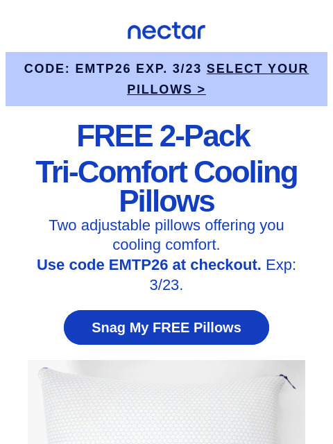 nectarsleep newsletter: The bed’s great. 2 FREE pillows? Even better.