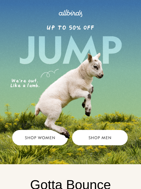 allbirds newsletter: Last Call For Up To 50% Off