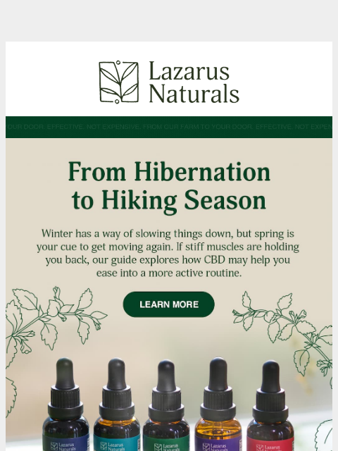 lazarusnaturals newsletter: 🥶 Feeling a Little Rusty After Winter?