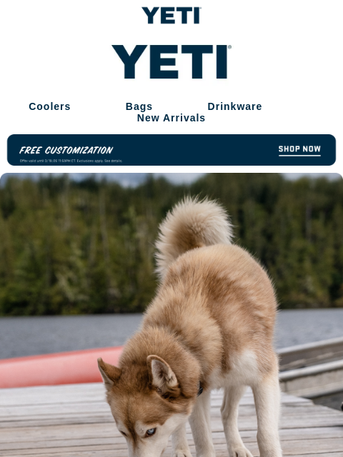 yeti newsletter: Now’s The Time For Free Customization