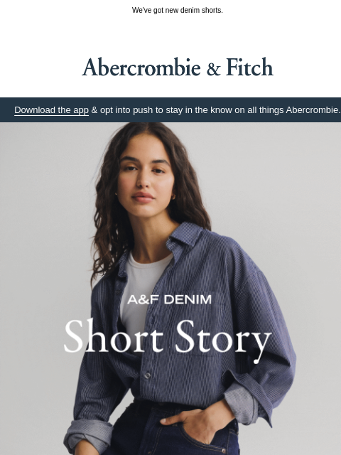 abercrombie newsletter: LONG STORY SHORT →