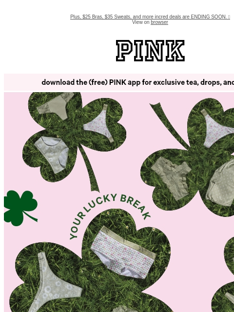 vspink newsletter: St. Paddy's Perk: 10/$40 Panties 💚