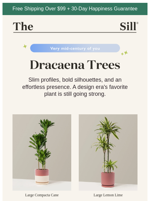 thesill newsletter: The plant that belongs in every mid-century home