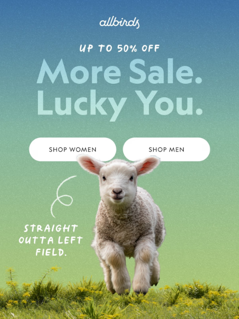 allbirds newsletter: We’re Baaaack—Spring Sale Extended. 🐑