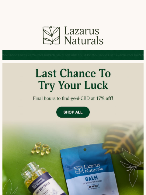 lazarusnaturals newsletter: 🌈 Your Final Shot at 17% Off!