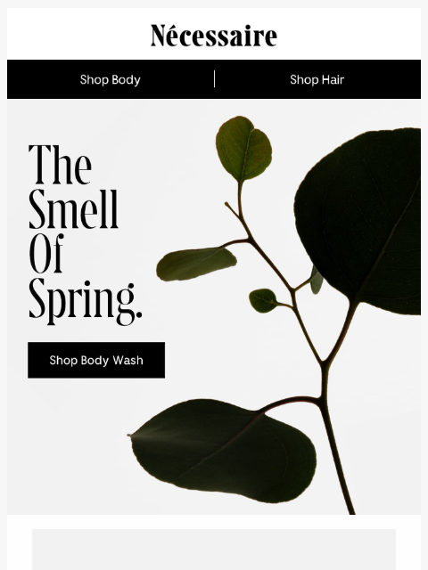 necessaire newsletter: Body Wash in Every Scent