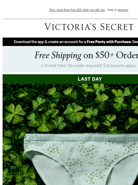 victoriassecret newsletter: Final Hours: 10/$40 Panties